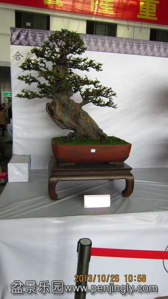 IMG_4572.JPG