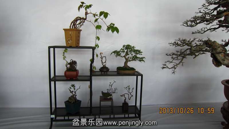 IMG_4573.JPG