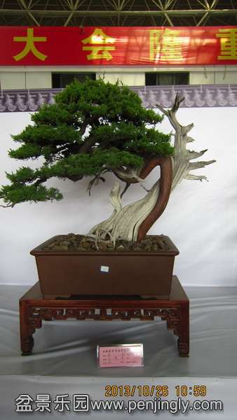 IMG_4575.JPG