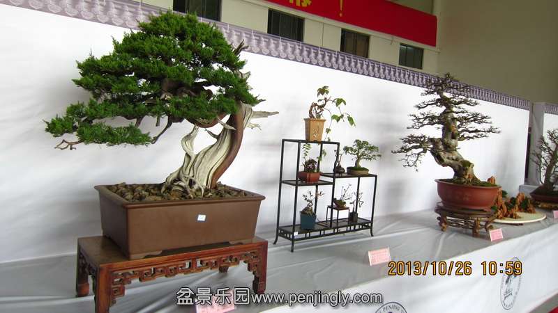 IMG_4576.JPG