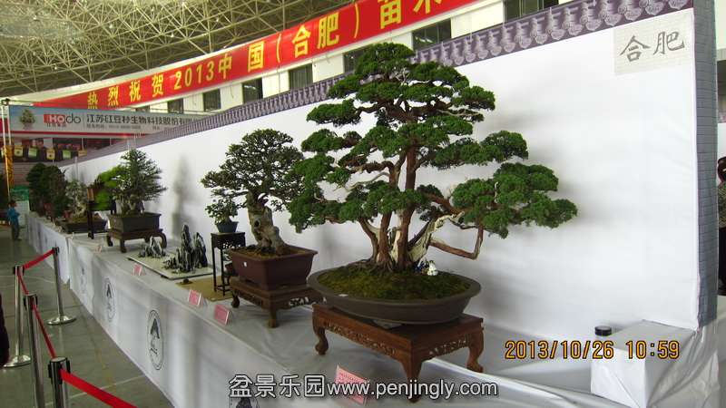 IMG_4577.JPG