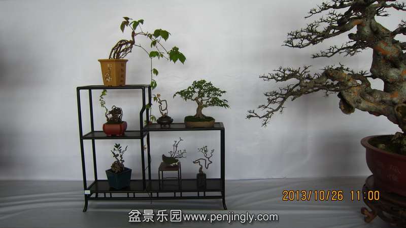 IMG_4582.JPG