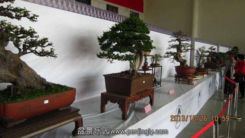 IMG_4578.JPG