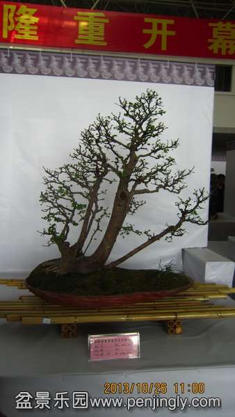IMG_4586.JPG