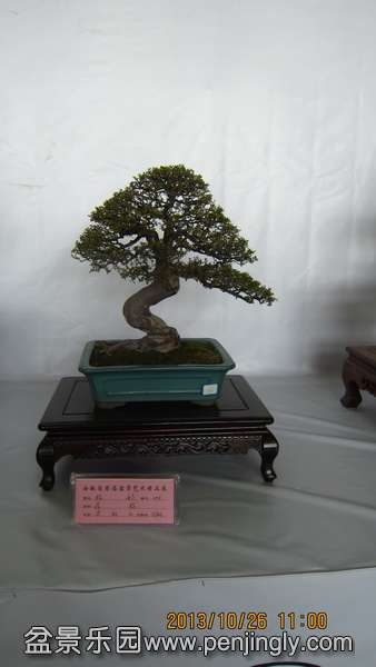 IMG_4588.JPG