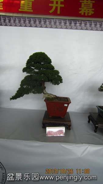 IMG_4587.JPG