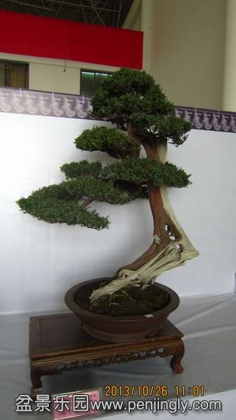 IMG_4594.JPG