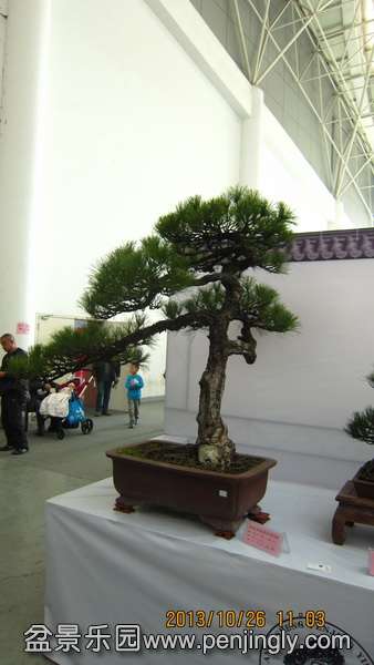 IMG_4601.JPG