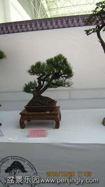 IMG_4600.JPG