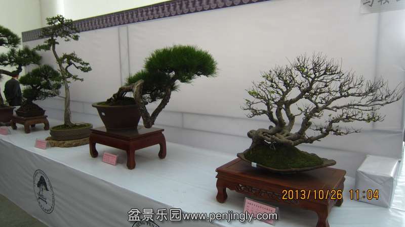 IMG_4609.JPG