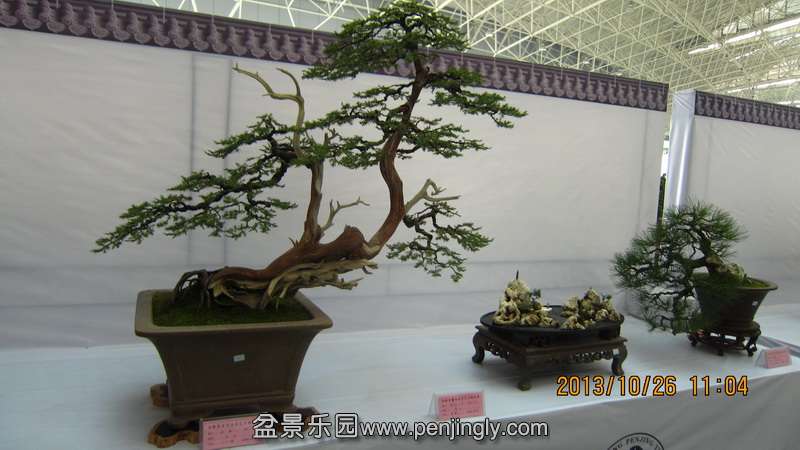 IMG_4612.JPG