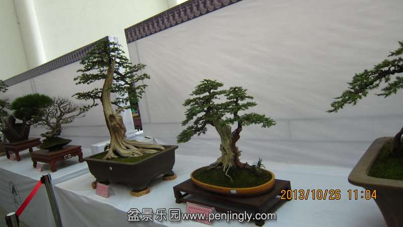 IMG_4613.JPG