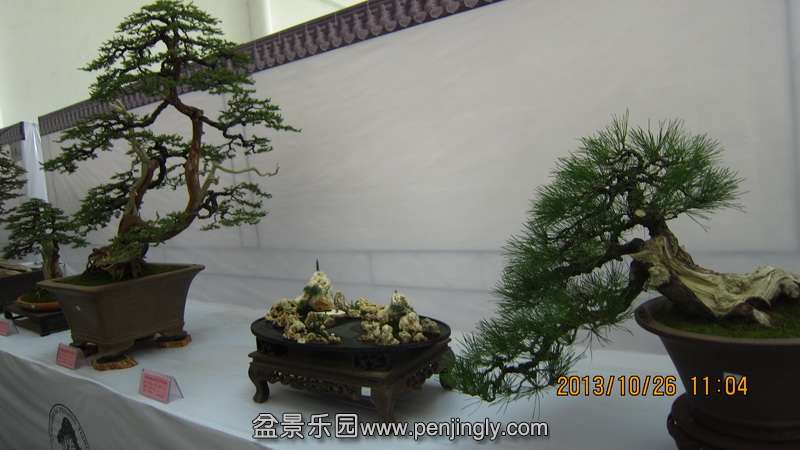 IMG_4616.JPG