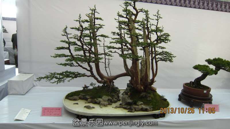 IMG_4617.JPG