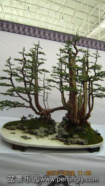 IMG_4619.JPG
