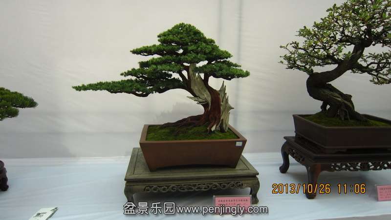 IMG_4625.JPG
