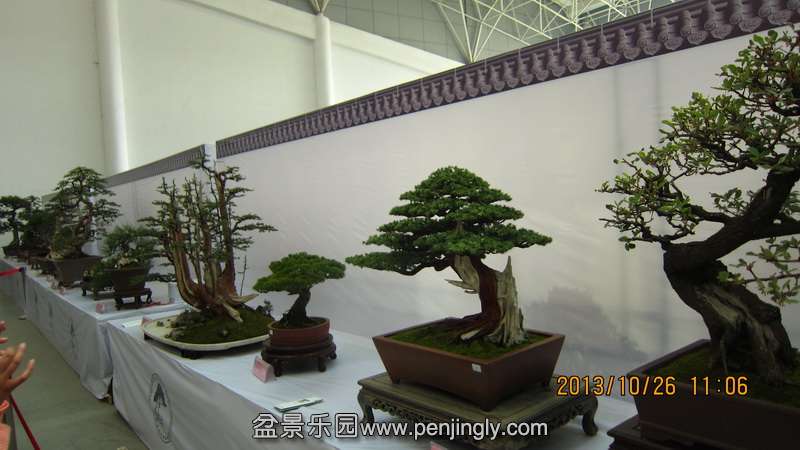 IMG_4627.JPG