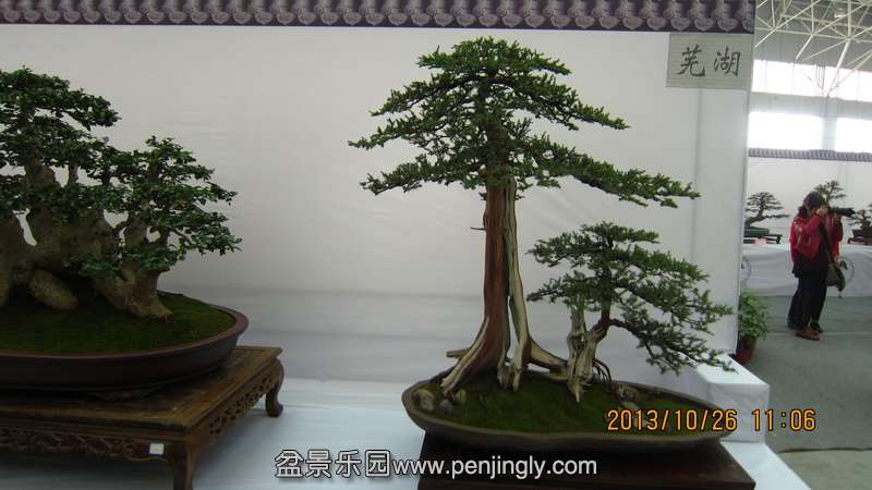 IMG_4628.JPG