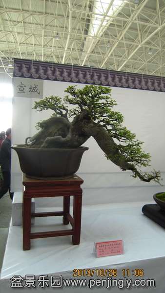 IMG_4630.JPG