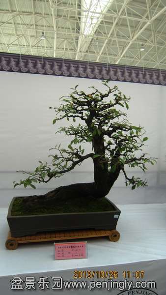 IMG_4633.JPG