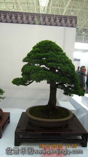 IMG_4640.JPG