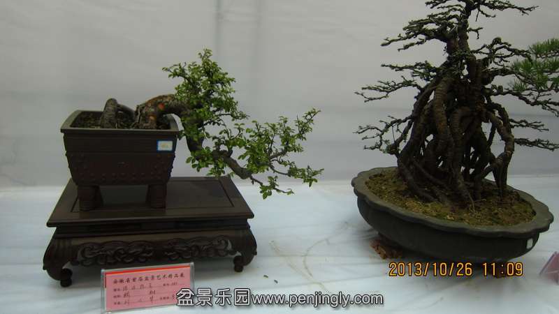 IMG_4644.JPG