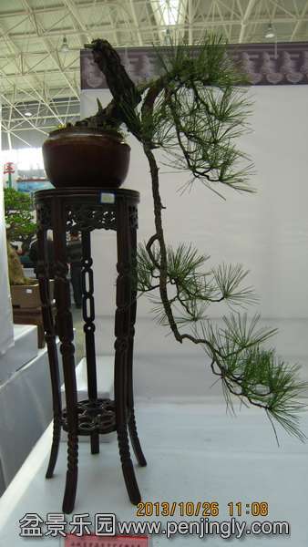 IMG_4642.JPG
