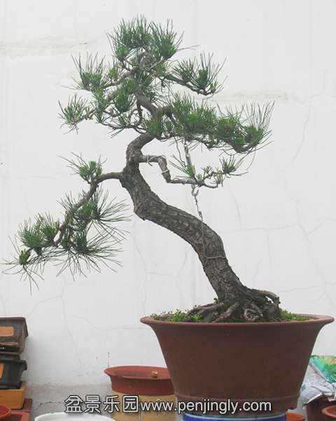 DSCN4838.JPG