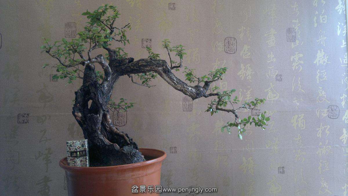 2013-10-28-791.JPG