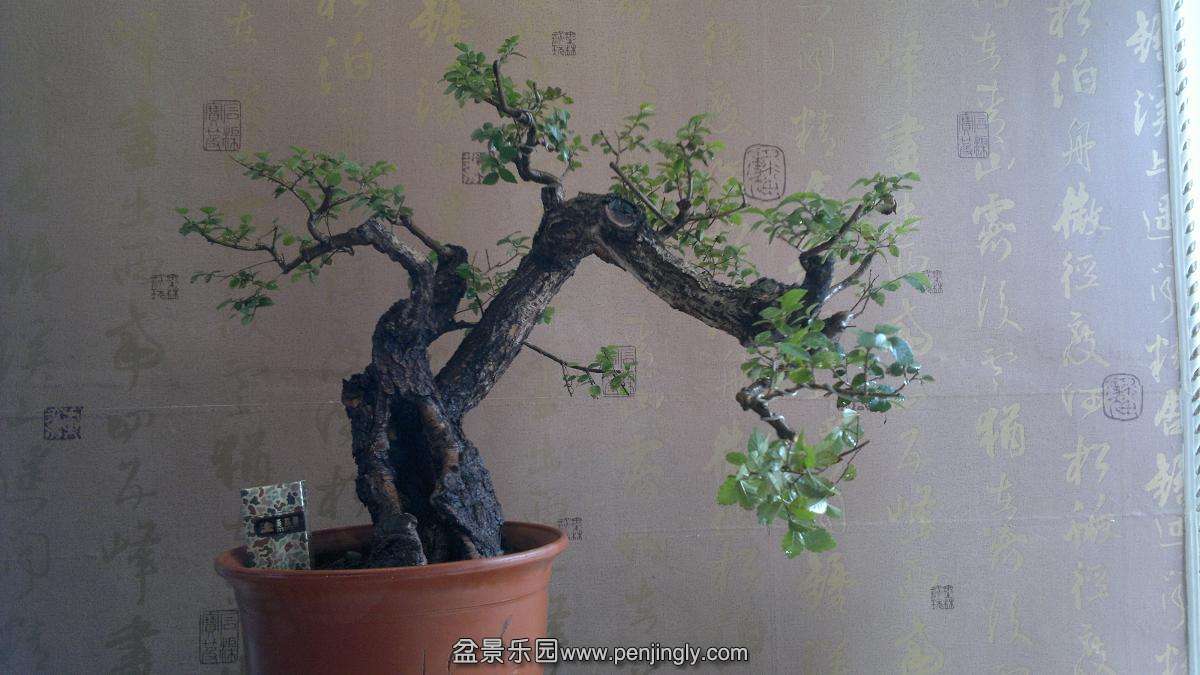 2013-10-28-792.JPG