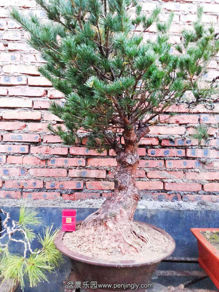 20131028_173040.jpg