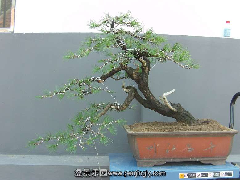 FILE0190.JPG
