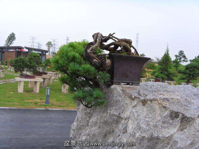 SDC12806.JPG