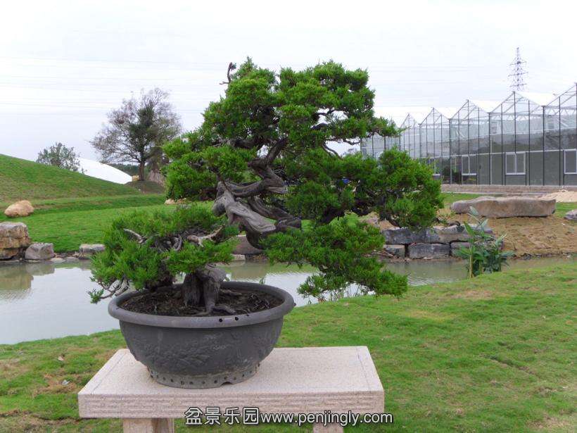 SDC12891.JPG