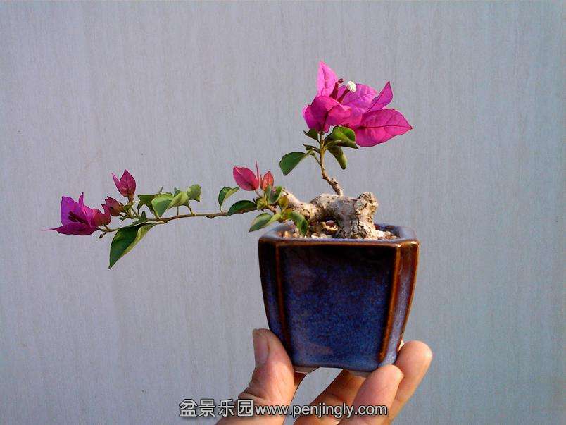 IMG1029154800.jpg