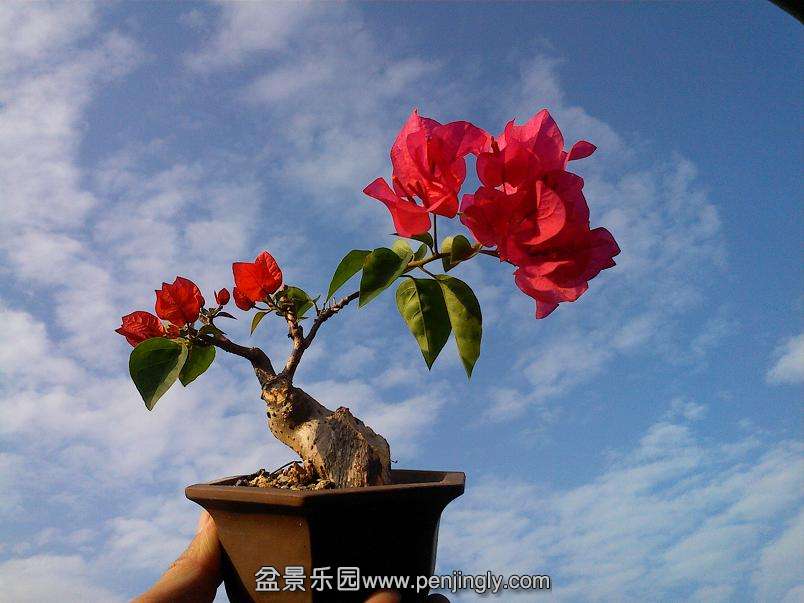 IMG1029154700.jpg