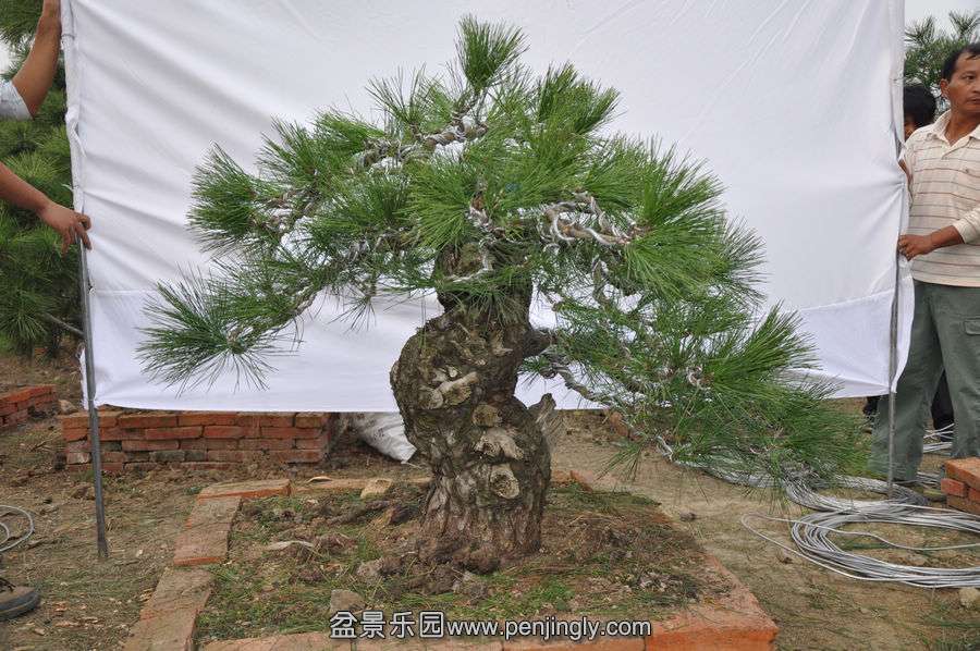 ҵ辰 082.jpg