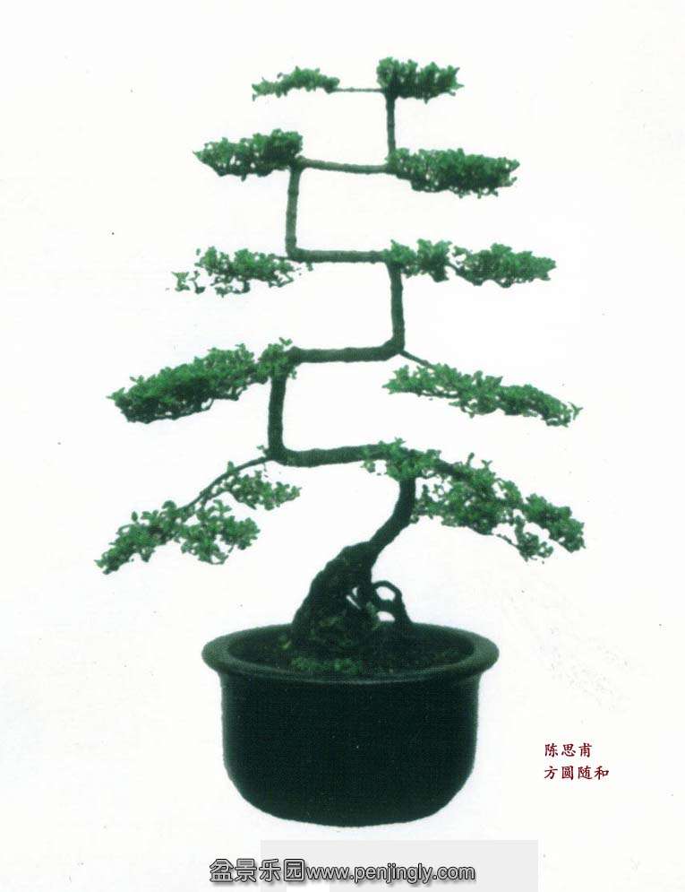 ˼ Բ ѩ40cm.jpg