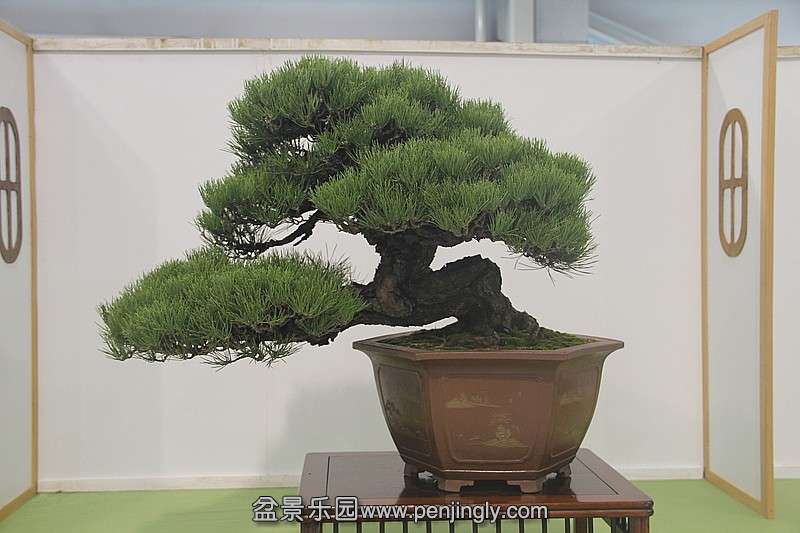 conew_584055419_o.jpg