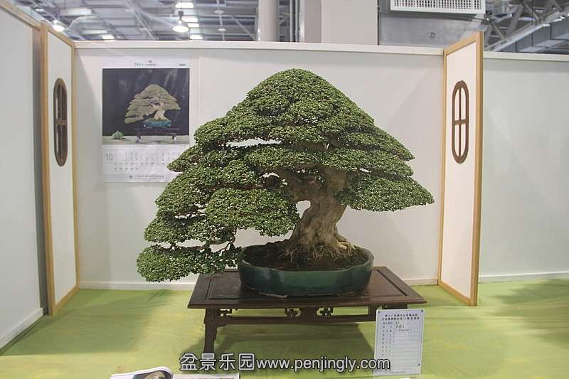 conew_584086030_o.jpg