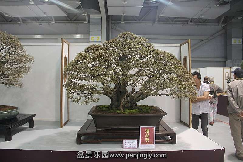 conew_584107425_o.jpg