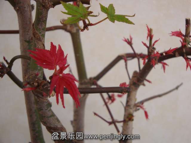 DSC05854.JPG