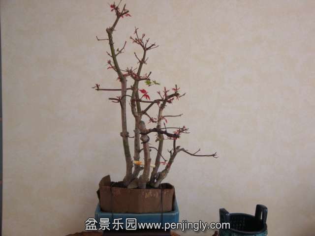 DSC05849.JPG