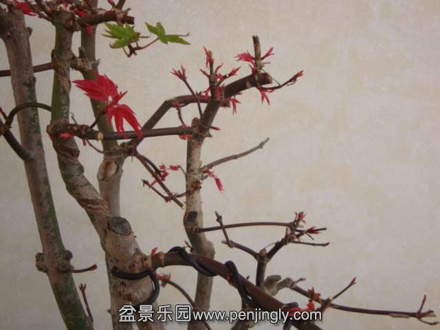 DSC05850.JPG
