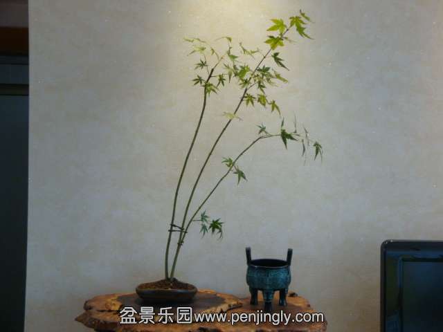 DSC05847.JPG