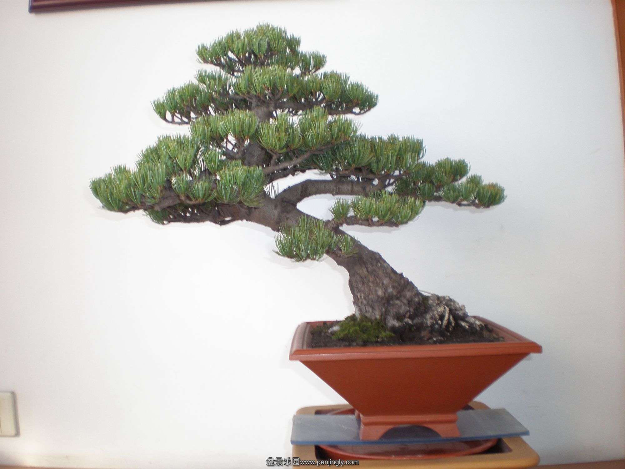 P1010212_.jpg