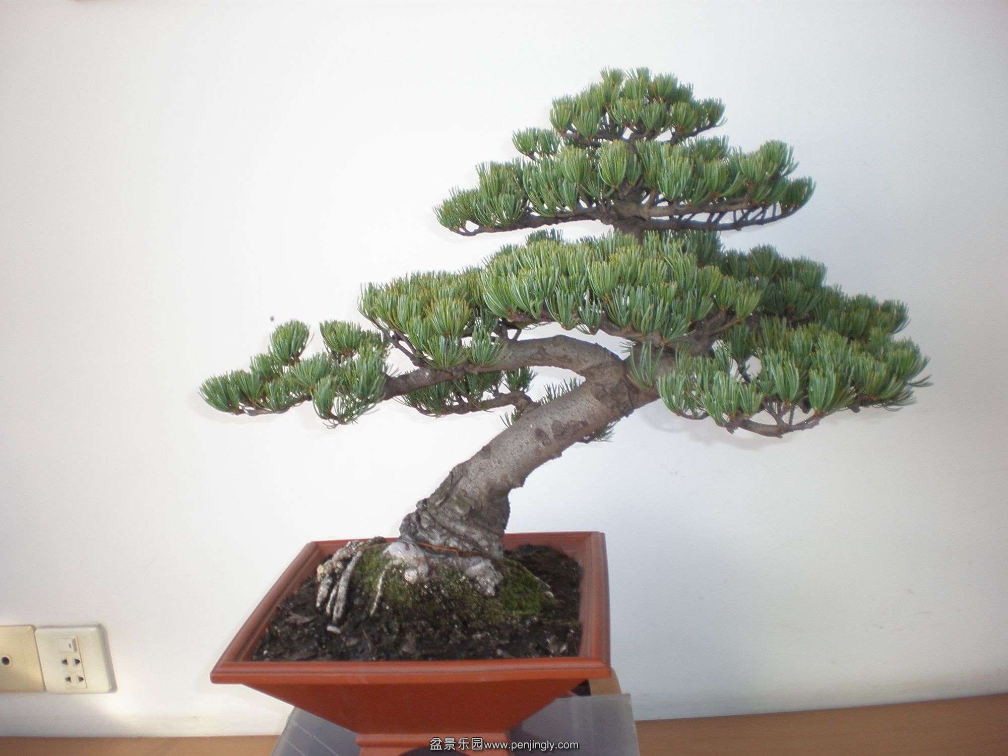 P1010217_.jpg
