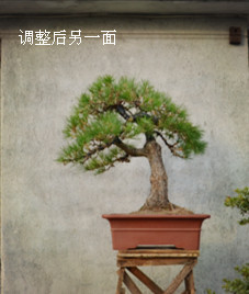 2013.10.28 041__.jpg