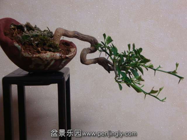 DSC05872.JPG