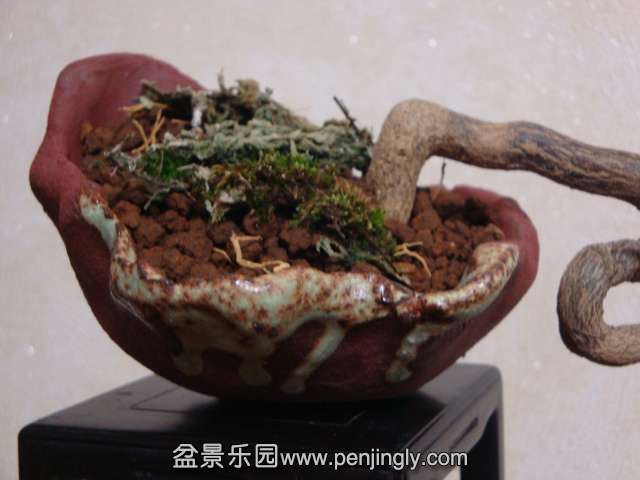DSC05874.JPG